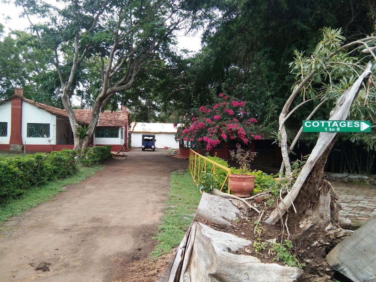Blue Valley Jungle Resort Nilgiris Exterior photo